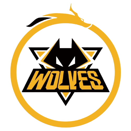 转会费区间 转会费区间